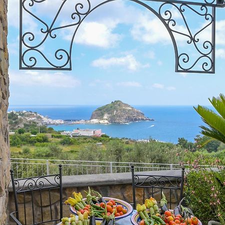 Tenuta Monte Di Panza Bed & Breakfast Ischia Exterior photo